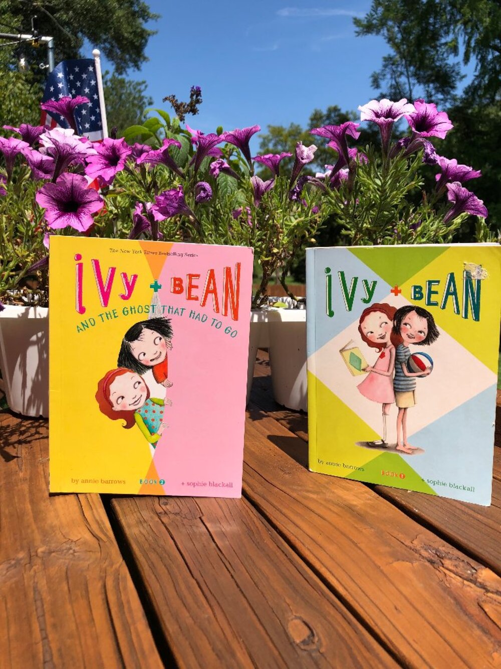 Ivy & Bean 2 Book Lot. Book 1 and 2 Ages 4-8 Paperback